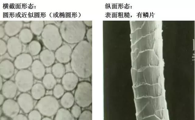 聚酯纤维与涂层布之间的关系解析