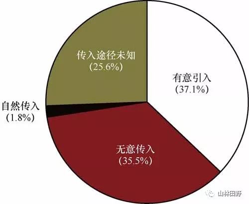 生物能源有什么