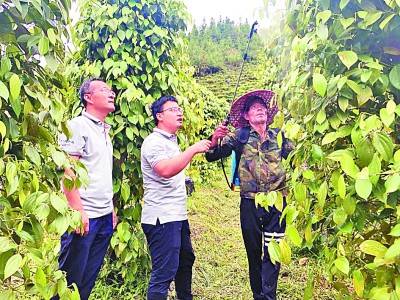 生物农药应用