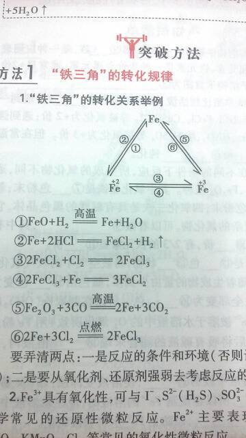 红岩与涤纶合成方程式怎么写