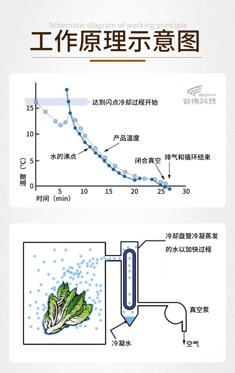 变速器安全装置的种类与作用