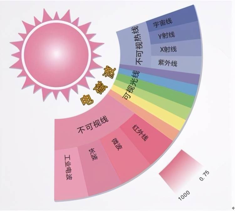 红外线内裤的作用，探索其科技特性与健康效益