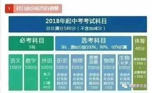 橡胶制品与脱纸邮票，哪个更好？一篇文章深度解析