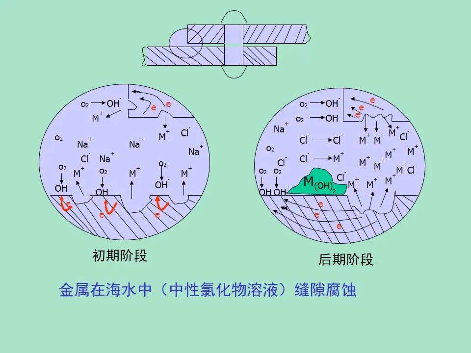 脱锌腐蚀的形态和发生机理