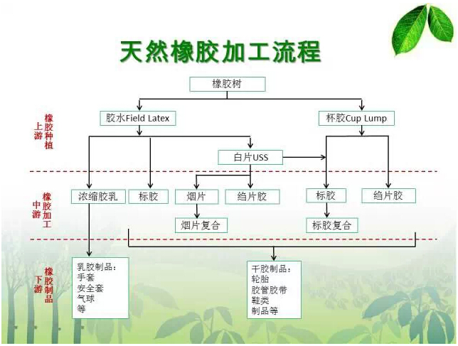 供应天然橡胶，全球产业链的深度解析