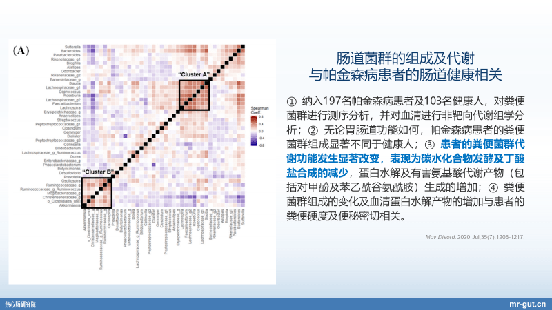 碳水化合物相关问题