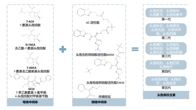 饮料生产中常用的酶及其特点简述