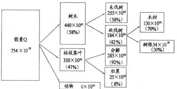 生物能源与制动系统有哪些配件组成