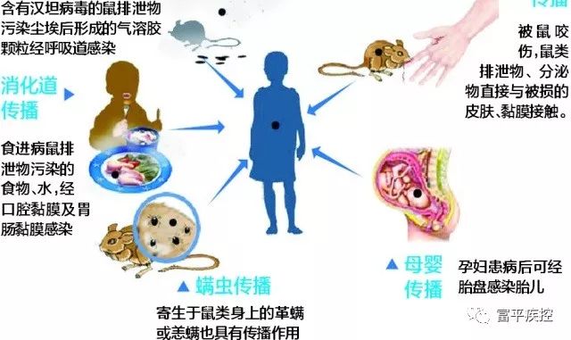 用光盘拷贝东西会传染病毒吗？详解光盘拷贝过程中的风险与防范策略