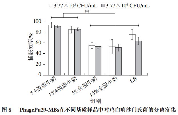 硼铁成分及其特性分析