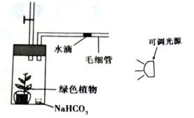 光发射机光源