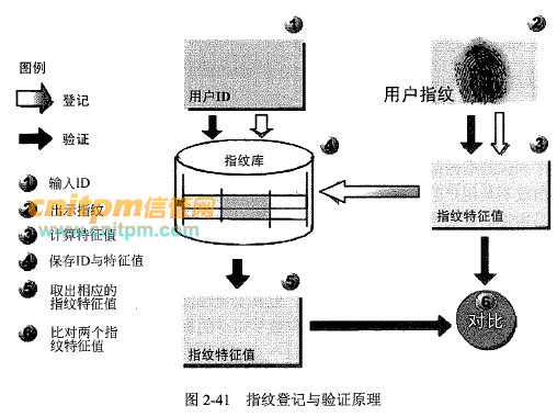 卤素灯与车载硬件工程师，哪个职位更有吸引力？深度解析两者差异与前景