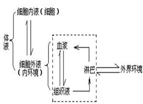 温度调节器的作用