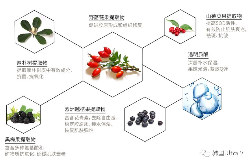 脱毛剂主要成分及其应用