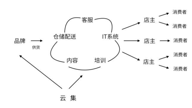 专业杀虫服务有用吗