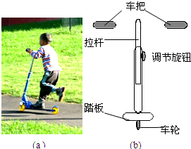 滑板车的结构与运动的关系