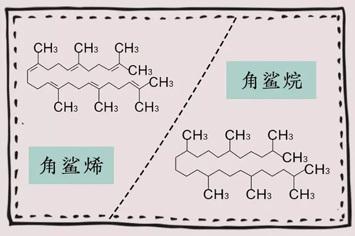 工业用动物油脂