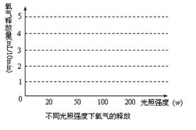 铟的强度，探索其独特性质与应用前景